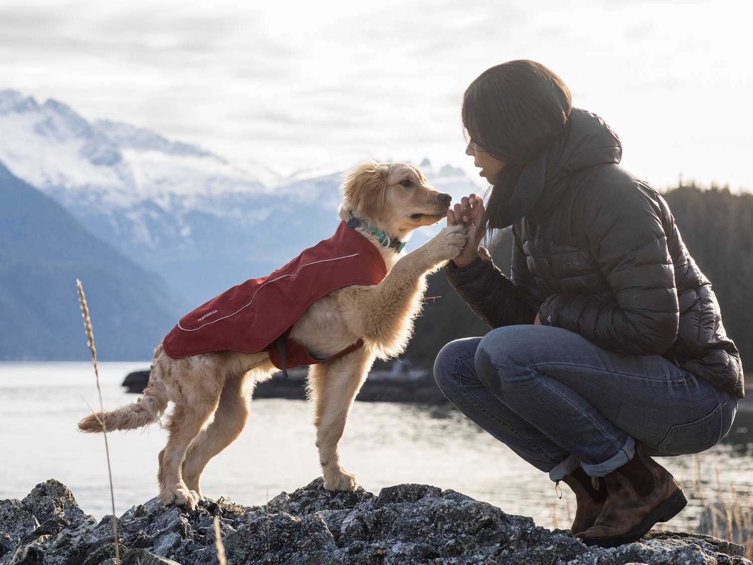 So findest du die richtige Ruffwear Hundejacke